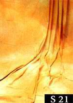 ���ͼƬ�鿴����