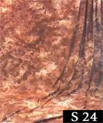 ���ͼƬ�鿴����