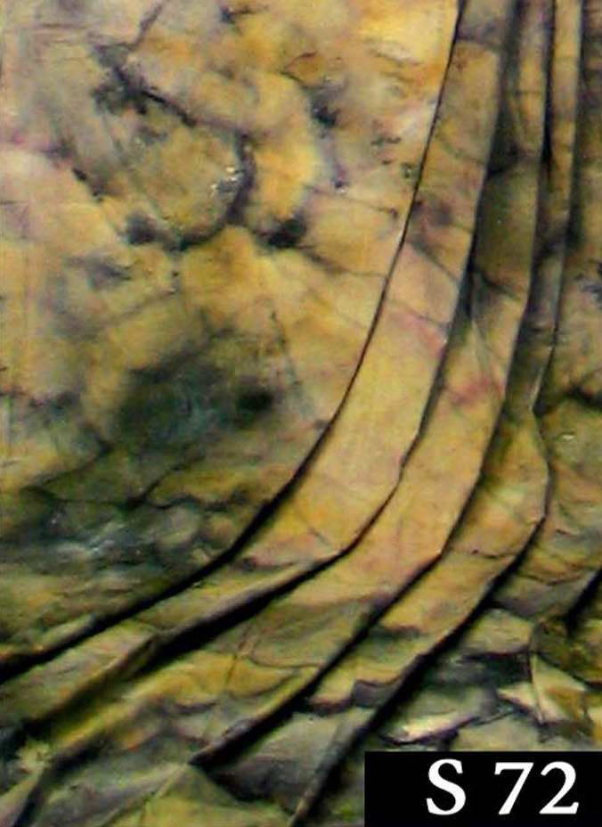 ���ͼƬ�鿴����