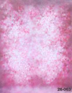 ���ͼƬ�鿴����