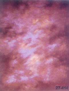 ���ͼƬ�鿴����