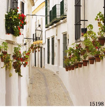 ���ͼƬ�鿴����